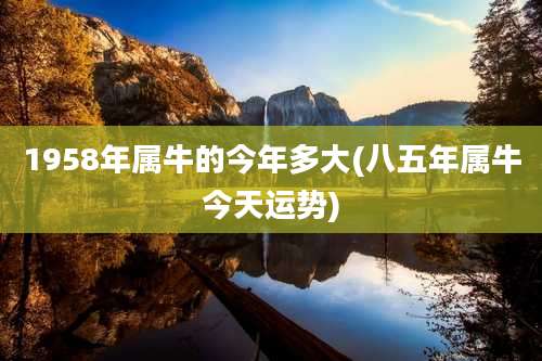 1958年属牛的今年多大(八五年属牛今天运势)
