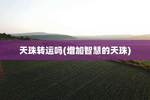 天珠转运吗(增加智慧的天珠)