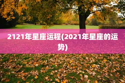 2121年星座运程(2021年星座的运势)