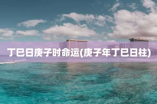 丁巳日庚子时命运(庚子年丁巳日柱)