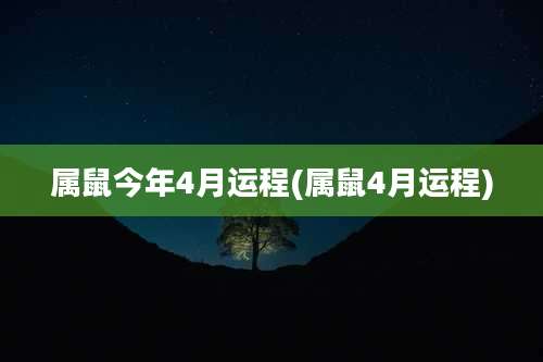 属鼠今年4月运程(属鼠4月运程)