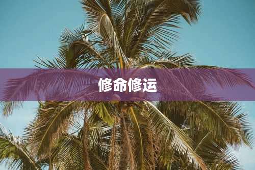 修命修运