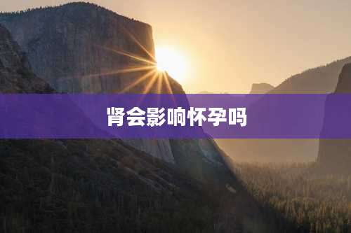 肾会影响怀孕吗