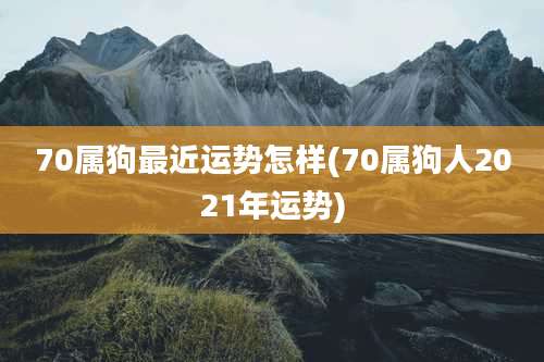 70属狗最近运势怎样(70属狗人2021年运势)