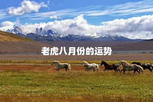 老虎八月份的运势