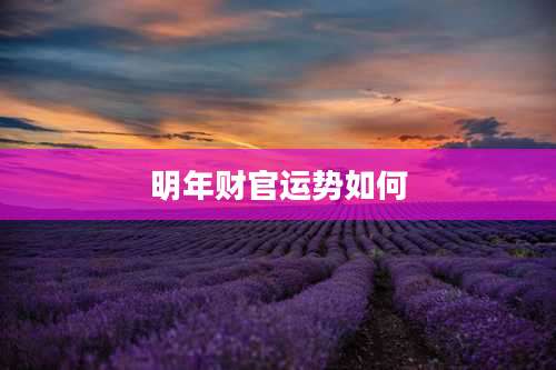 明年财官运势如何