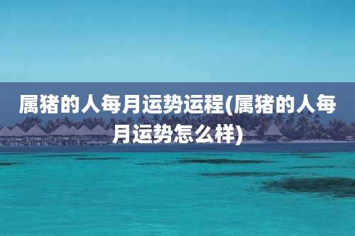 属猪的人每月运势运程(属猪的人每月运势怎么样)