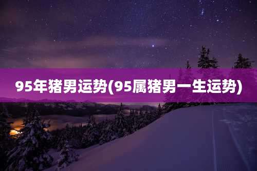 95年猪男运势(95属猪男一生运势)