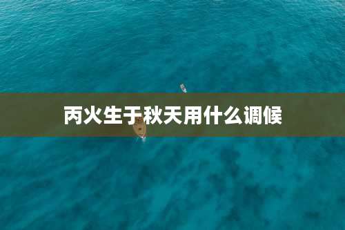 丙火生于秋天用什么调候