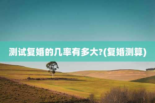 测试复婚的几率有多大?(复婚测算)