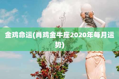 金鸡命运(肖鸡金牛座2020年每月运势)