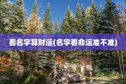 看名字算财运(名字看命运准不准)