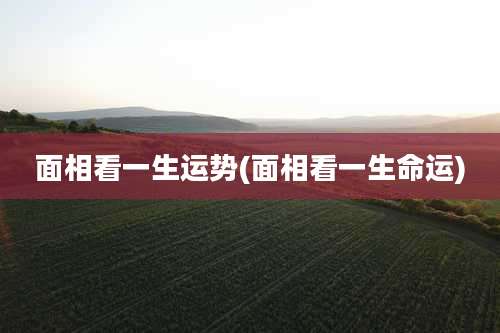 面相看一生运势(面相看一生命运)