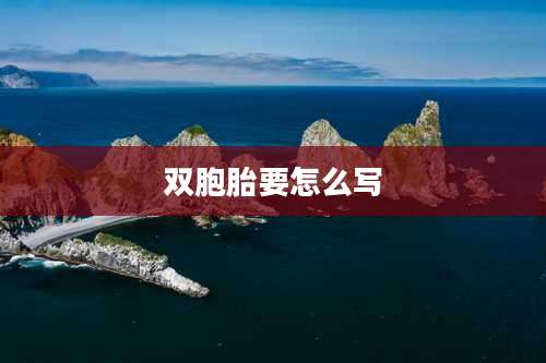 双胞胎要怎么写