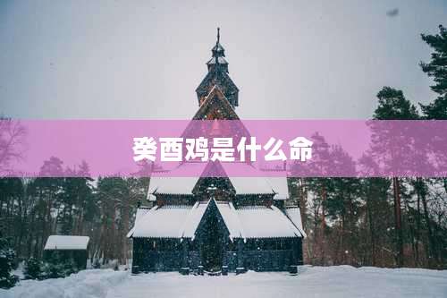 癸酉鸡是什么命