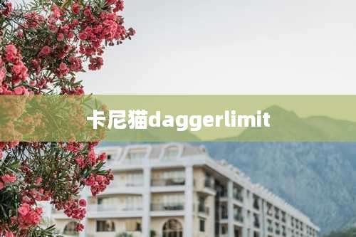 卡尼猫daggerlimit