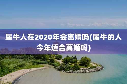 属牛人在2020年会离婚吗(属牛的人今年适合离婚吗)
