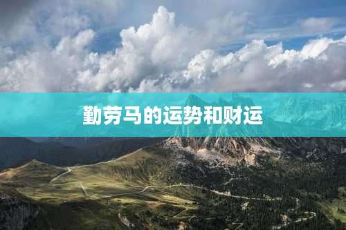 勤劳马的运势和财运