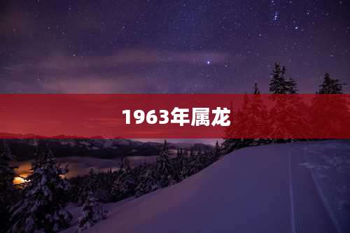 1963年属龙