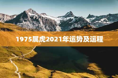 1975属虎2021年运势及运程