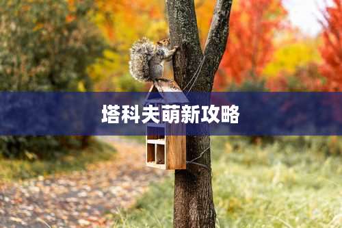 塔科夫萌新攻略