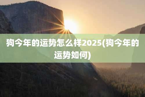 狗今年的运势怎么样2025(狗今年的运势如何)