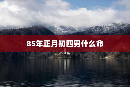 85年正月初四男什么命