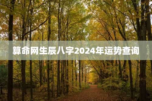 算命网生辰八字2024年运势查询