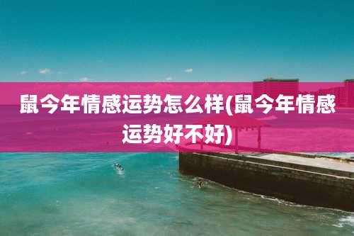 鼠今年情感运势怎么样(鼠今年情感运势好不好)