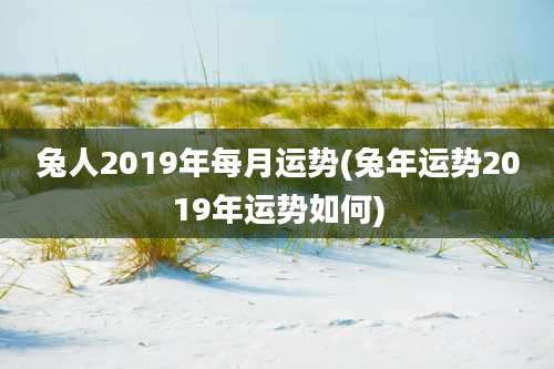 兔人2019年每月运势(兔年运势2019年运势如何)