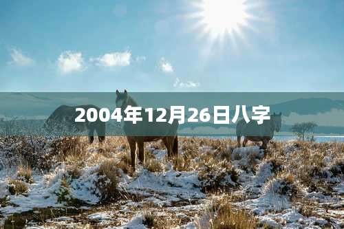 2004年12月26日八字