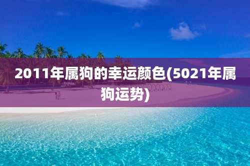 2011年属狗的幸运颜色(5021年属狗运势)