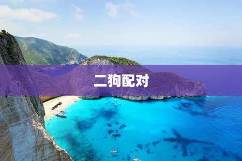 二狗配对