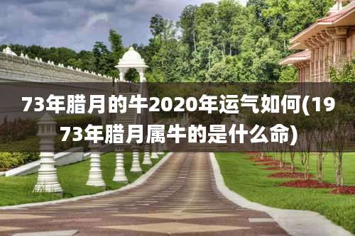 73年腊月的牛2020年运气如何(1973年腊月属牛的是什么命)