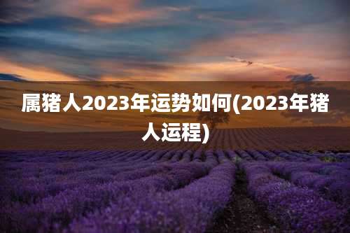 属猪人2023年运势如何(2023年猪人运程)