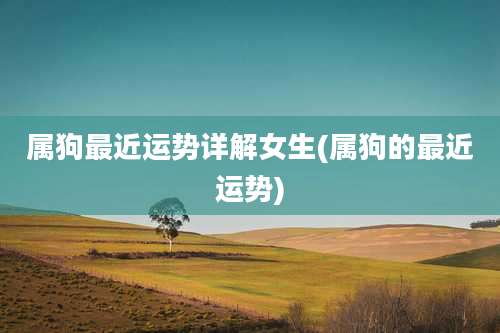 属狗最近运势详解女生(属狗的最近运势)