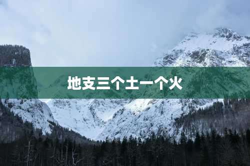 地支三个土一个火
