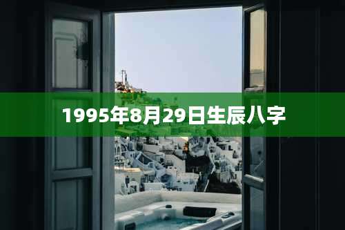 1995年8月29日生辰八字