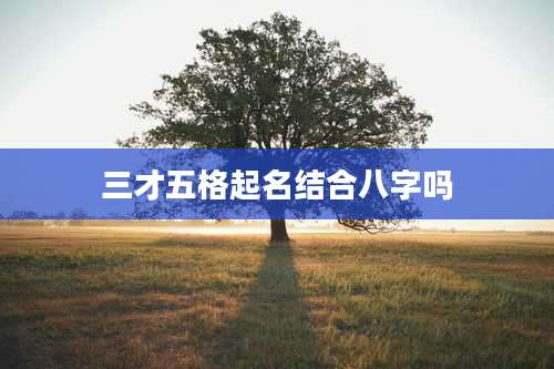 三才五格起名结合八字吗