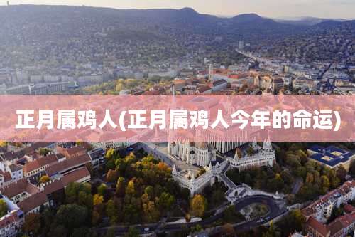 正月属鸡人(正月属鸡人今年的命运)