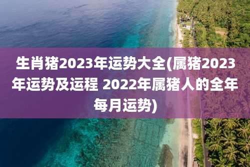 生肖猪2023年运势大全(属猪2023年运势及运程 2022年属猪人的全年每月运势)