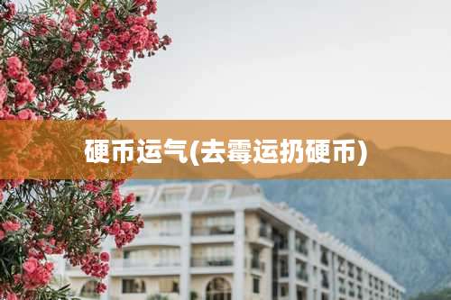 硬币运气(去霉运扔硬币)