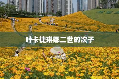 叶卡捷琳娜二世的次子