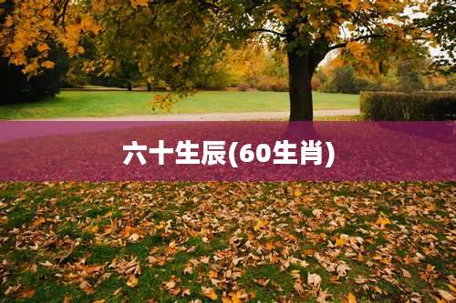 六十生辰(60生肖)