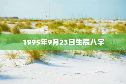 1995年9月23日生辰八字
