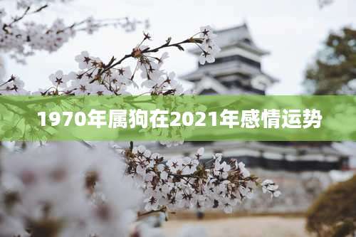 1970年属狗在2021年感情运势
