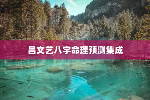 吕文艺八字命理预测集成