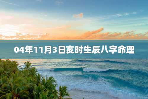 04年11月3日亥时生辰八字命理