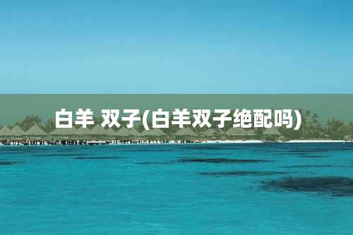 白羊 双子(白羊双子绝配吗)