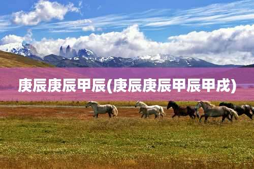 庚辰庚辰甲辰(庚辰庚辰甲辰甲戌)